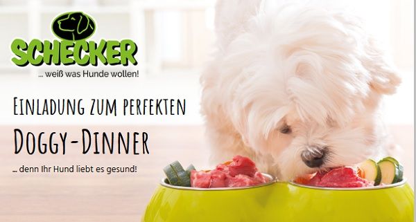Schecker Gewinnspiel Doggy-Dinner Hundefutter