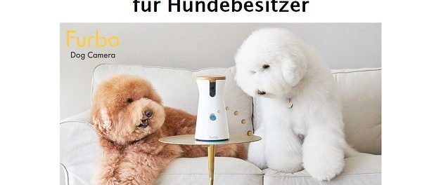 Bild.de Gewinnspiel Furbo interaktive Hundekamera