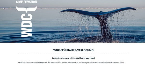 Whale und Dolphine Conservation Gewinnspiel