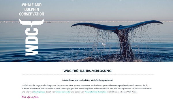 Whale und Dolphine Conservation Gewinnspiel