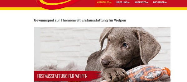 Zookauf Gwinnspiel Hundewelpen Erstausstattung