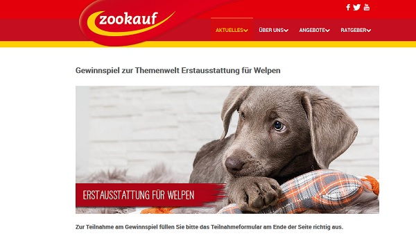 Zookauf Gewinnspiel Hundewelpen Erstausstattung