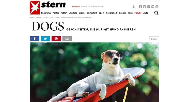 Stern.de Dogs Sommer Gewinnspiel für Hunde und Besitzer