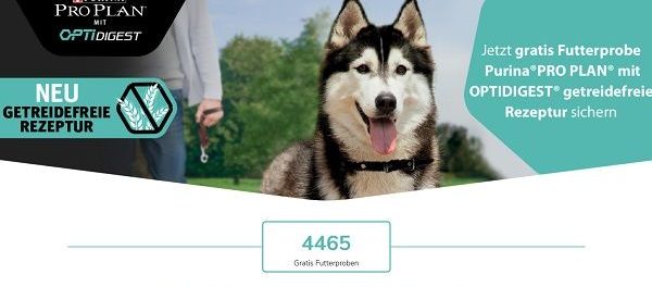Purina Hundefutter Gewinnspiel gratis Hundefutter Probierpakete