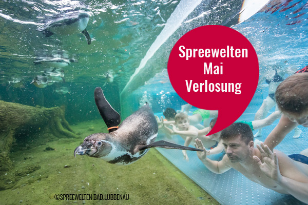 Kribbelbunt.de Gewinnspiel: Familientageskarte für das Spreewelten Bad Lübbenau zu gewinnen